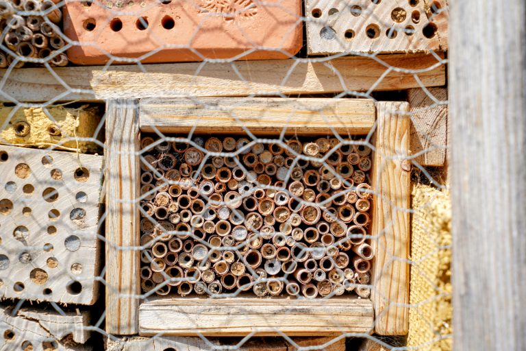 Bee bricks, beebricks, mattoni per le api