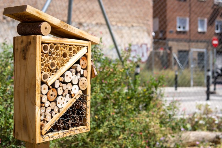 bee hotel