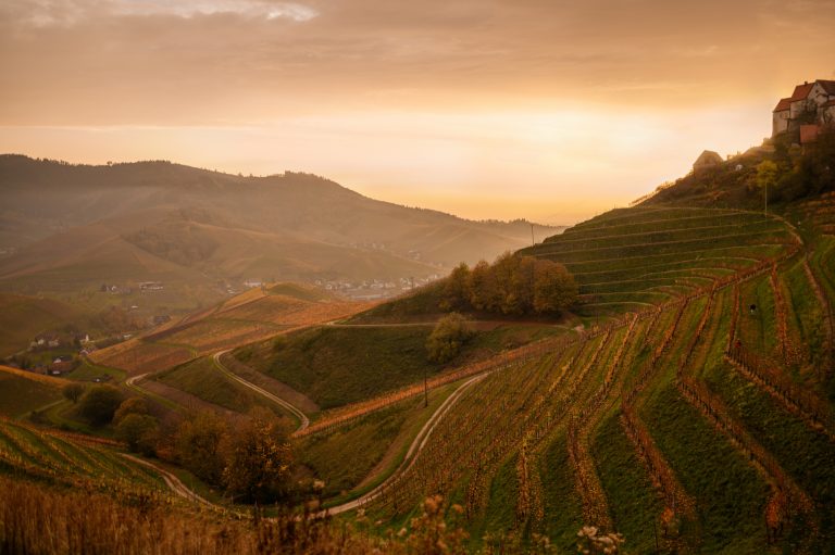 turismo ecosostenibile roero